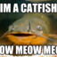 Mr. CatFish