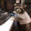 TheGamingRaccoon