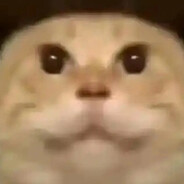 和艾露猫一起姓艾