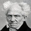 Schopenhauer Final Form