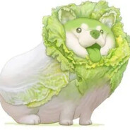 与其背锅认错不如嘴硬到底