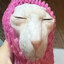 nicehat