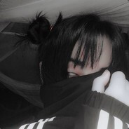 norpis333