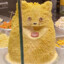 Butter Cat