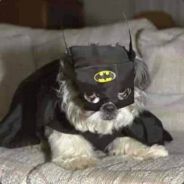 Neebz - steam id 76561197971718433
