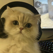 粉笔只有学校有