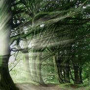 吃饭睡觉打飞机