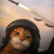 t Steam avatar