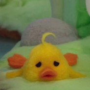 吃我一记咲咲喵喵拳