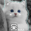 有人a点一打5，有人b都守不住