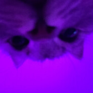 wika avatar