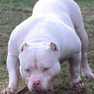 KINGA I MARO SOPRANO