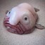 blobfish