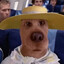 pickle boy eating cookie