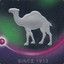 purplecamel