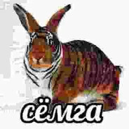 анальный гений