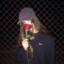 Qualiti rose_37