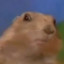 muffinmanbrandon