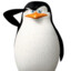 skipper