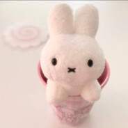 爱吃果冻的麦田守望者