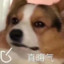 斥斥拉粑粑