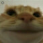 brü