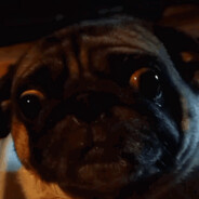 ҉P҉҉O҉҉Z҉҉O҉҉R҉