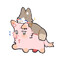 c1trus