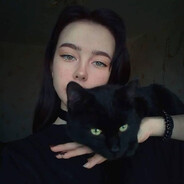 Katze