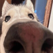 马嘉祺超绝大拉