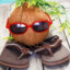 Coconutツ