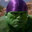 Hulkangsta