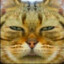 biobrain