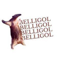 BelliGOOOL