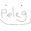 peleg