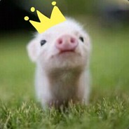 PigKing