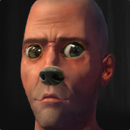 The Doge