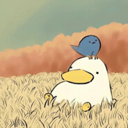 会说中文的大胸美女