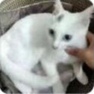 玩家头像