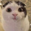 MihaiEXE