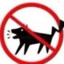 Don&#039;t bark like a dog