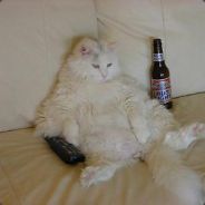 Oberst.Noobi - steam id 76561197970947821