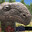 Paracetamol's Avatar