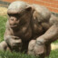 5ft tall 200lb hairless chimp