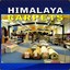 Himalaya Carpets
