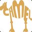 BMCamel2