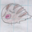 Tokoro25
