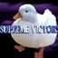 MrDuck
