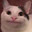 ᵀᵘʳᵏ gorba ✞