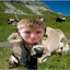 Steam avatar